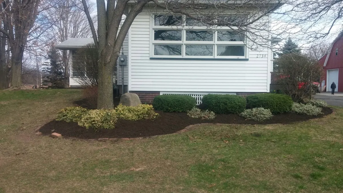 Front yard with mowed lawn and mulched shrub beds in Webster, NY