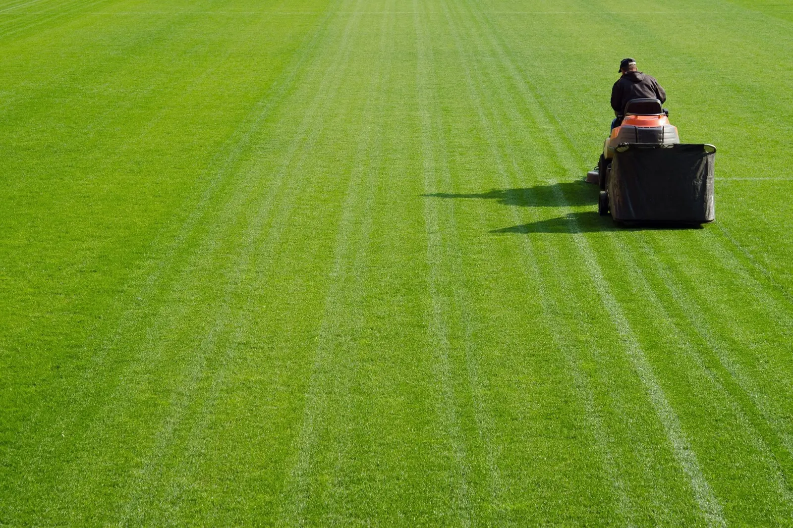 Freshly mowed lawn with clean stripes, with Matt on the mower in the distance, Webster, NY