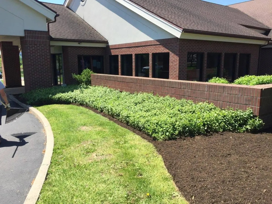 Trimmed shrub bed with fresh mulch and a crisp lawn edge